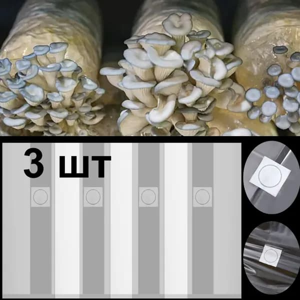 Форма для выращивания овощей пвх (поливинилхлорид) 3 шт