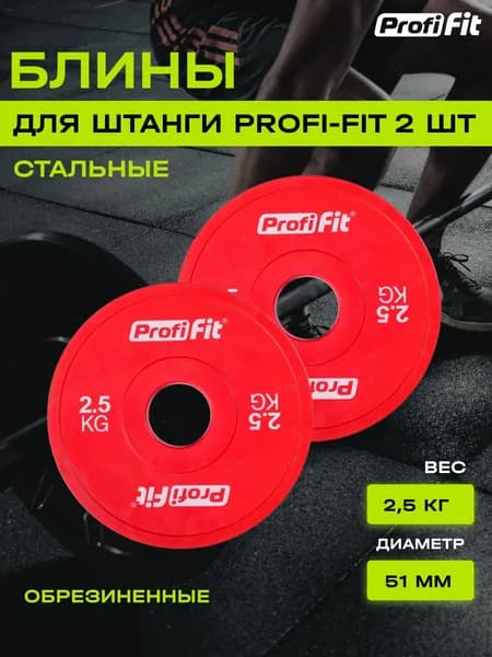 Блин для штанги и гантели PROFI-FIT обрезиненный, набор 2 шт по 2,5 кг