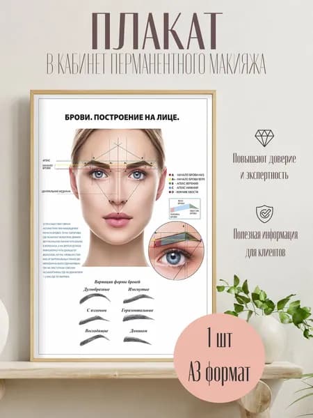 Плакат Схема построения бровей для перманентного макияжа Настенный стенд