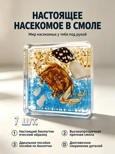 Образцы из эпоксидной смолы для научного образования
