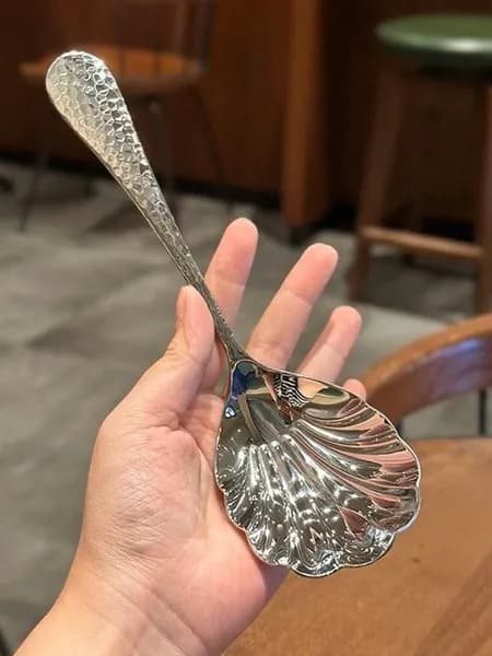 Ложка столовая Ложка_из_ракушки 1 предм. серебристый