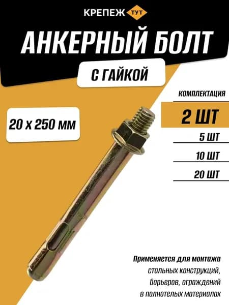 Анкерный болт с гайкой 20х250мм, 2 шт
