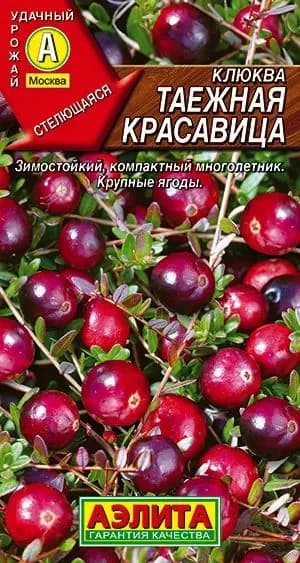 Семена Клюква крупноплодная Таежная Красавица (0,02г) - Аэлита