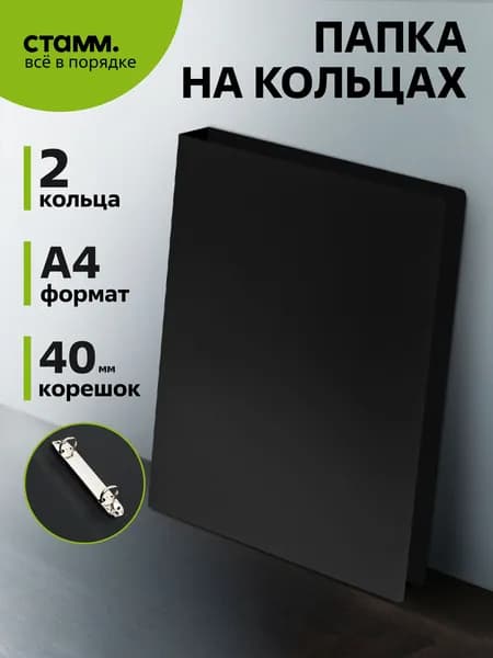 Папка на 2 кольцах А4