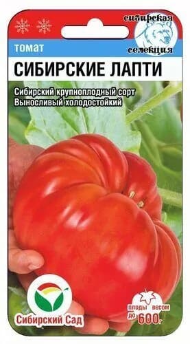 Томат Сибирские лапти