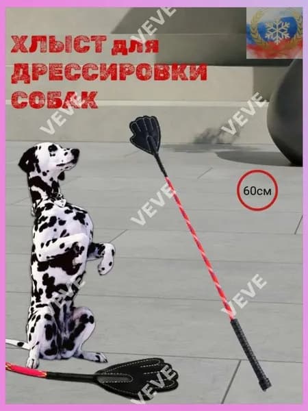 Аксессуары для дрессировки