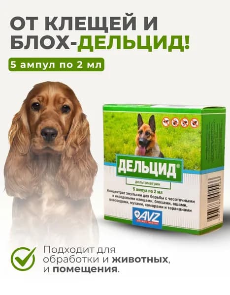 Дельцид, Концентрат-эмульсия для борьбы с эктопаразитами собак, 5 ампул по 2 мл