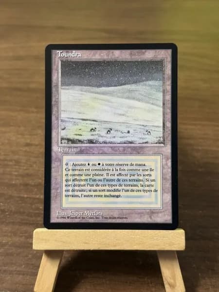 Заголовок: Волшебство в твоих руках: Уникальная карта Magic: The Gathering (MTG) с защитным протектором в подарок!