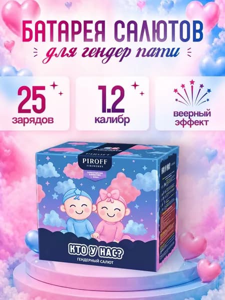 Дневной веерный розовый салют для гендер пати