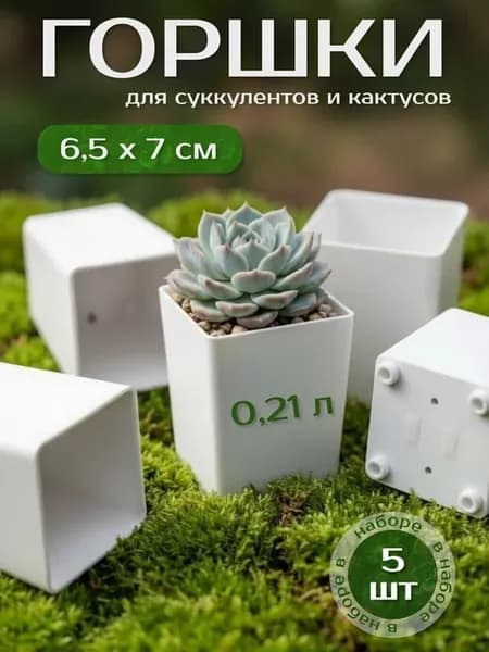Цветочные горшки для кактусов и суккулентов 5 шт 0.21 л