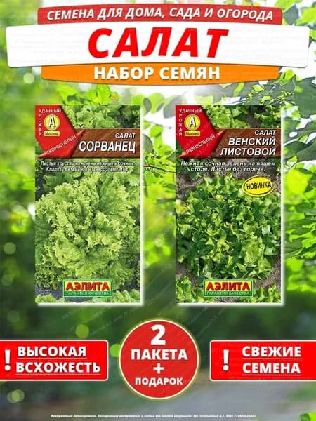 Семена салат для дома сада посадки
