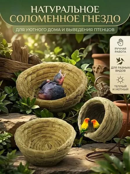 Птичье гнездо