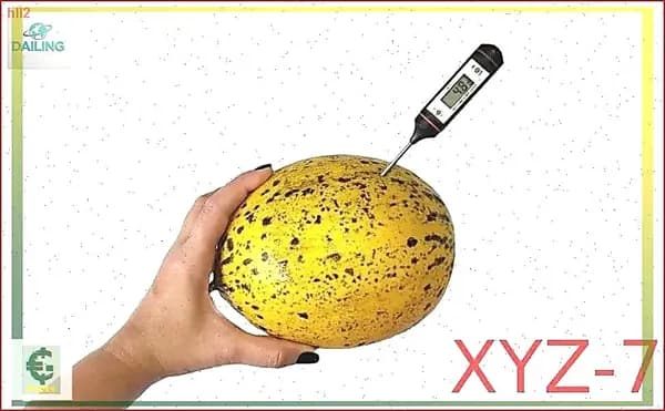 Термометр контактный штыревой / Электронный измеритель температуры от -50 до +300 С/ Термометр для всех типов продуктов