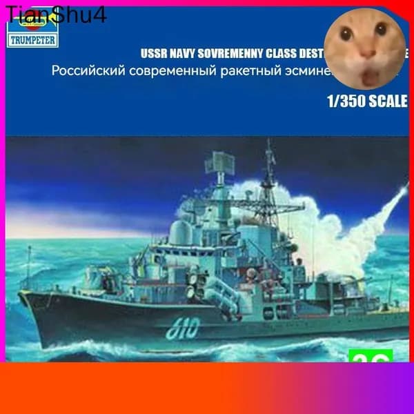 Премиумсборная модель российского эсминца Hyundai II, 1/350