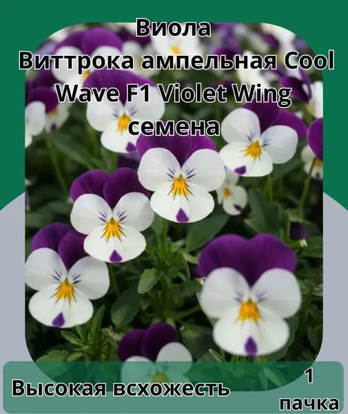 Виола виттрока Cool Wave F1 Violet Wing, семена 10шт