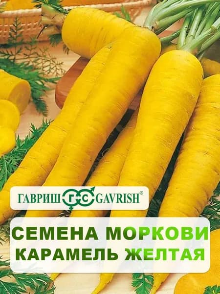 Семена Морковь "Карамель желтая" 100 шт., для дачи, сада и огорода, в открытый грунт, для теплиц и парников, для свежих соков, подходит для консервирования