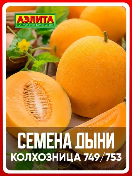 Семена дыня "Колхозница 749/753", 15 шт, однолетние цветы, для дачи, сада и огорода, клумбы, в открытый грунт