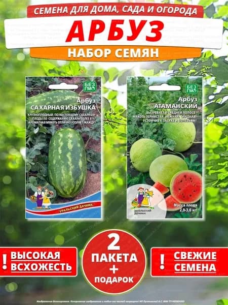 Семена арбуз для дома сада посадки