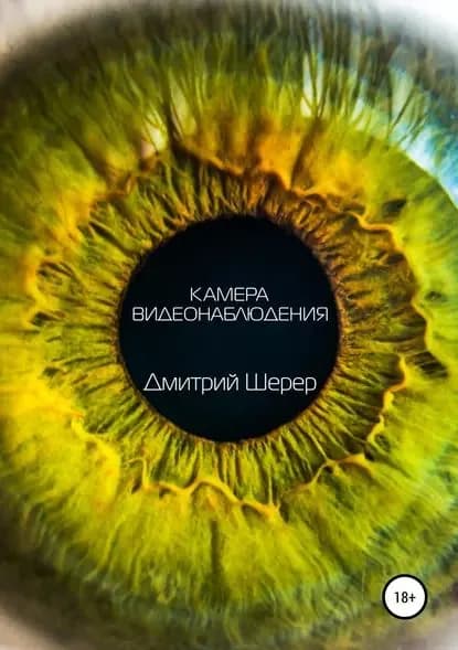 Камера видеонаблюдения | Шерер Дмитрий Львович | Электронная книга