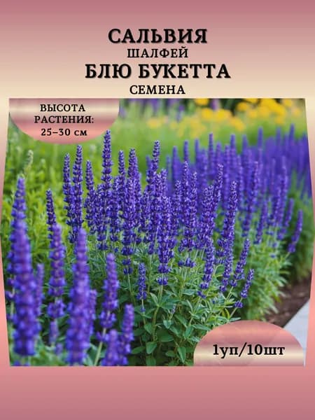 Сальвия (шалфей) "Блю Букетта" семена, 1 пачка