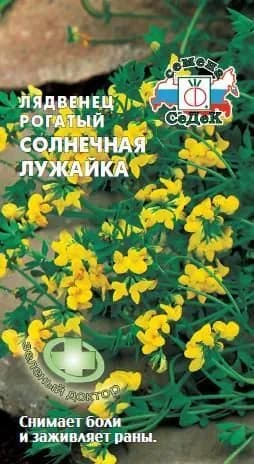 Семена пряности Лядвенец "Солнечная лужайка" (рогатый)
