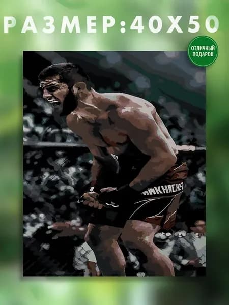 Картина на холсте 40 x 50 ufc ислам махачев