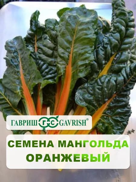 Семена Мангольд "Оранжевый" 0,5 г, для дачи, сада и огорода, в открытый грунт, для теплиц и парников