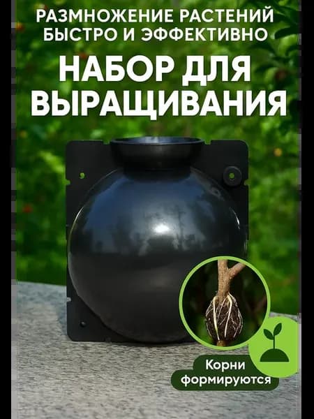 GEALFIS Набор для укоренения растений, 10 шт