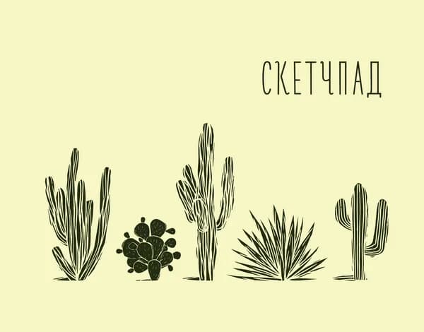 Скетчпад 20 листов, пружина "Кактусы"