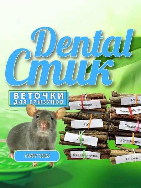 Dental Стик лакомство (6+1) 120 грамм веточек, палочек, погрызушки для грызунов: хомяков, крыс, мышей, шиншилл, кроликов, морских свинок и др. 6-ть видов растений+1 вид ягоды