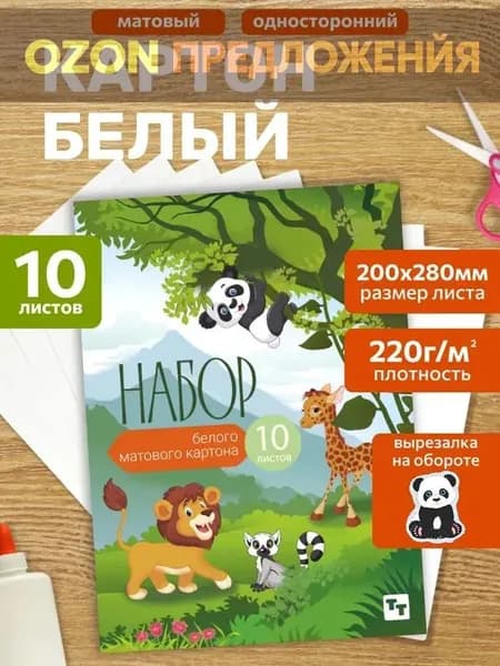 Картон A4, количество листов: 10