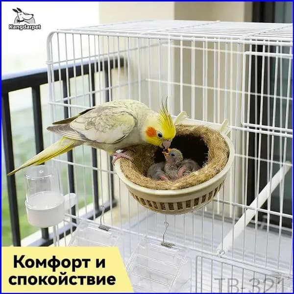 Качественный скворечник 10x10x5 см Treasure Box