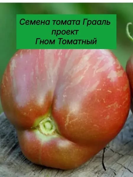 Семена ,10шт