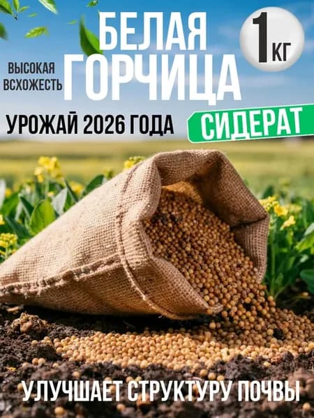 Горчица белая семена сидерат 1 кг
