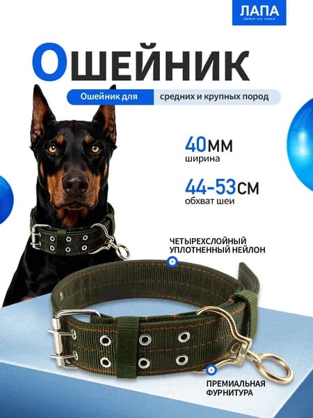 Усиленный нейлоновый ошейник для домашних животных, обхват шеи 38-54 см, подходит для собак мелких и средних пород весом 8-50 кг