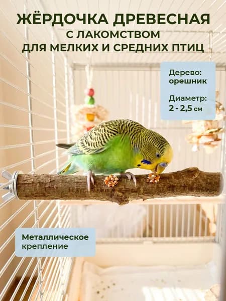 Жердочка для волнистых попугаев с лакомством