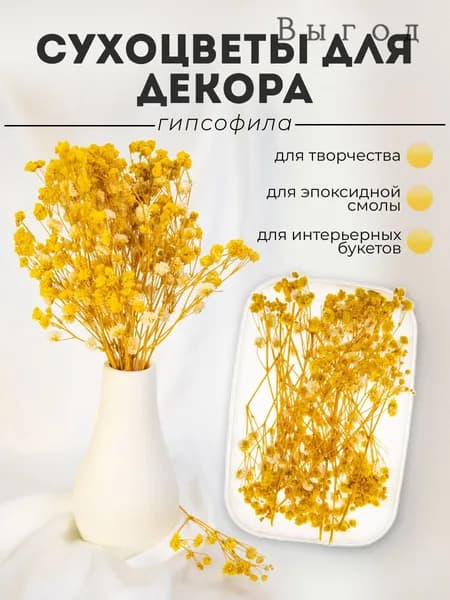 Сухоцветы Гипсофила, 1 шт