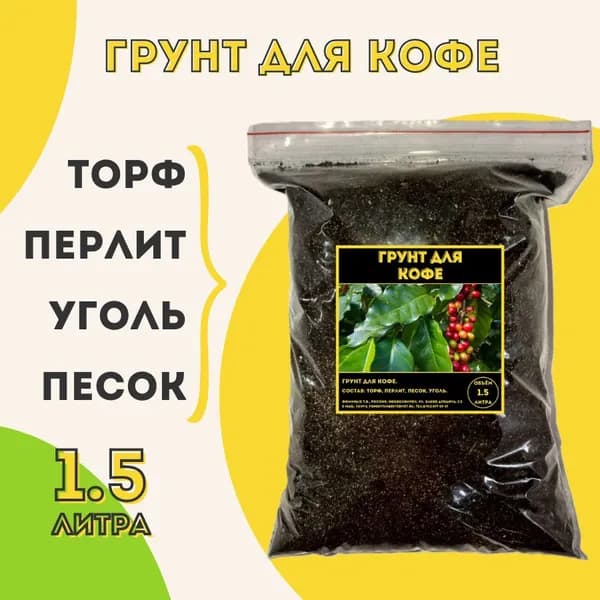 Грунт