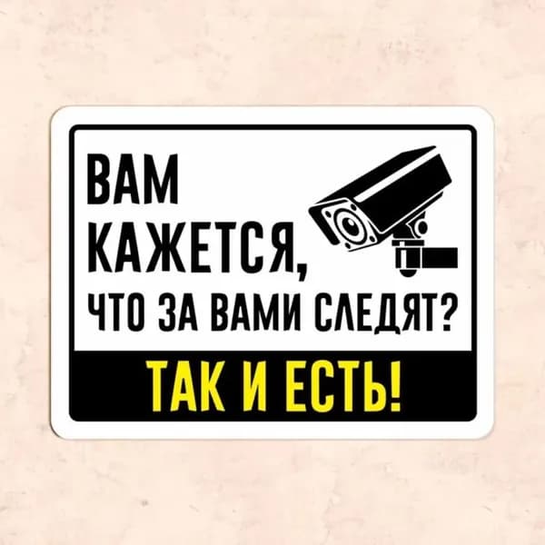 Табличка "Вам кажется, что за вами следят? Так и есть!", 30х20 см, УФ-печать
