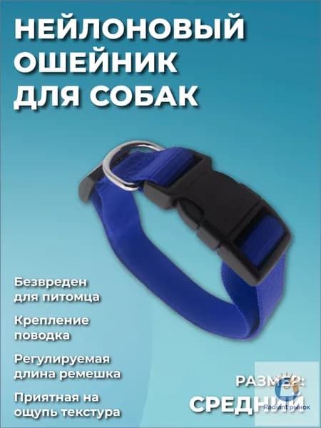 Ошейник для собак мелких и средних пород, щенков, синий, с креплением для поводка