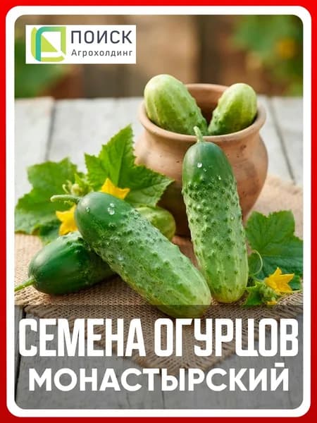 Семена Огурцов "Монастырский", 15 шт, самоопыляемые, для дома, дачи и огорода, в открытый грунт, в контейнер.