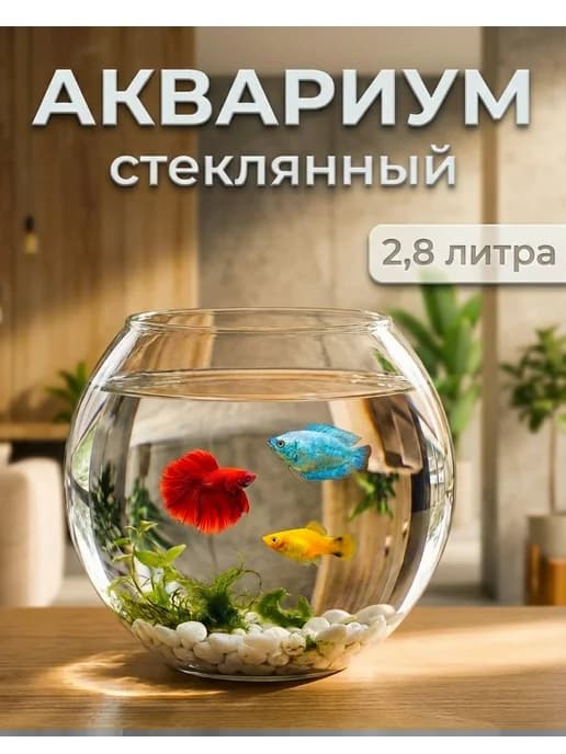 Аквариум для рыбок стеклянный 2,8 литра