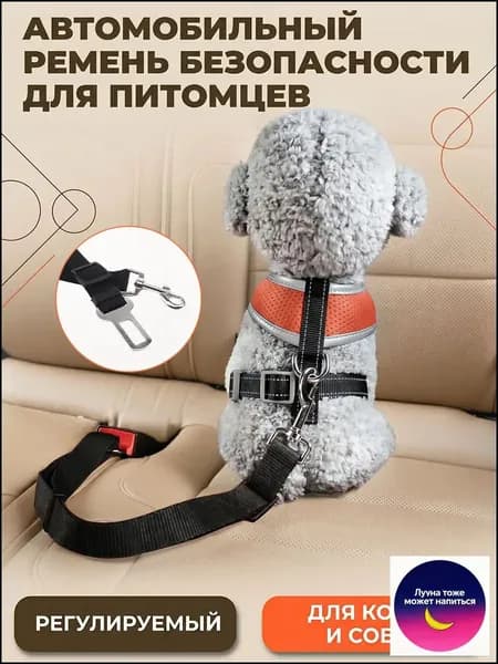 Ремень безопасности для собак в машину