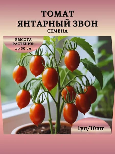 Томат "Янтарный Звон" семена, 1 пачка