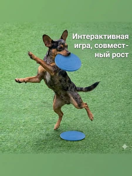 Фрисби для собак силиконовый, мягкая летающая тарелка для дрессировки, плавающий диск, 18 см, синий