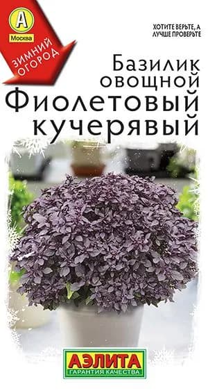 Семена Базилик овощной Фиолетовый Кучерявый (0,2г) - Аэлита