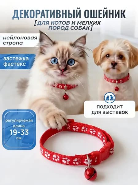 ошейник с бубенчиком
