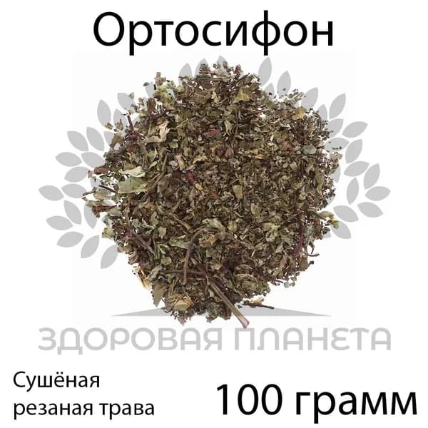 Ортосифон трава (почечный чай) 100 грамм