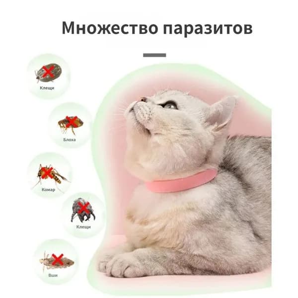ошейник от блох и клещей для кошек