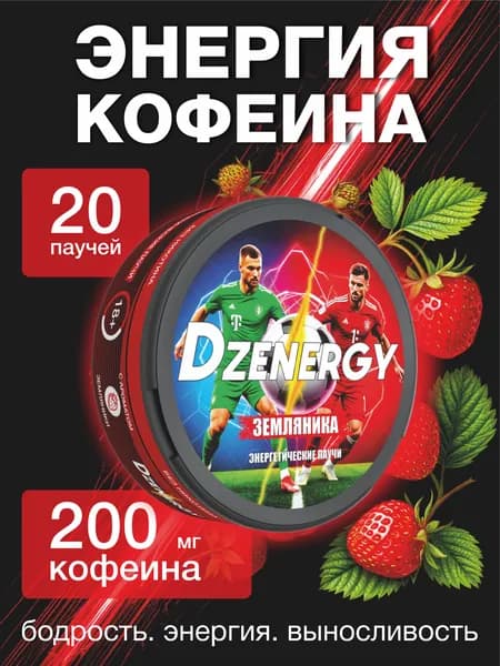DZENERGY Земляника сухой энергетик паучи